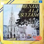 Disco de Vinilo Varios - Homenaje A La Sultana Vinyl Record