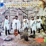 Disco de Vinilo Grupo Horizontes - Ilusión Vinyl Record