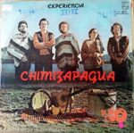 Disco de Vinilo Chimizapagua - Experiencia Vinyl Record