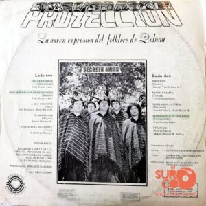 Disco de Vinilo Proyección - Secreto Amor Vinyl Record