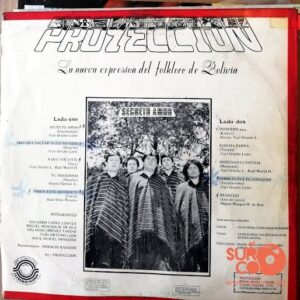 Disco de Vinilo Proyección - Secreto Amor Vinyl Record