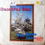 Disco de Vinilo Duo Ayala Coronado - Nosotros Dos Vinyl Record