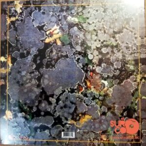 Disco de Vinilo Invisible - El Jardín De Los Presentes Vinyl Record