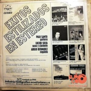 Disco de Vinilo Varios - Éxitos Estilizados En Estereo Vinyl Record