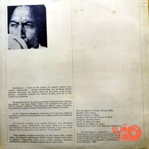 Disco de Vinilo Enrique Males - Música Indígena Del Ecuador: Prehispánica Y Tradicional Vinyl Record