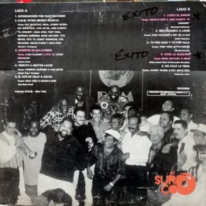 Disco de Vinilo Familia RMM - Combinación Perfecta Vinyl Record