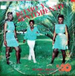 Disco de Vinilo Mario Diego Congo - Ritmo Y Sentimiento Vinyl Record