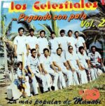 Disco de Vinilo Los Celestiales - Pegando Con Palo – Vol II Vinyl Record