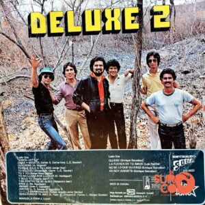 Disco de Vinilo Varios - Deluxe 2 Vinyl Record