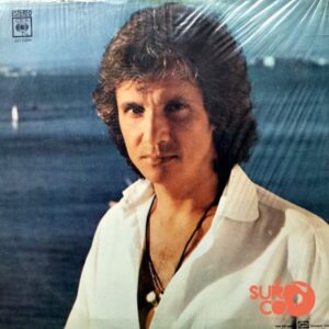 Disco de Vinilo Roberto Carlos - Álbum Vinyl Record