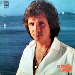 Disco de Vinilo Roberto Carlos - Álbum Vinyl Record