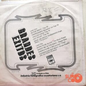 Disco de Vinilo Varios - Grandes Éxitos Vinyl Record