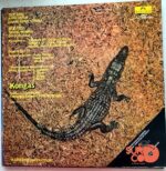 Disco de Vinilo Kongas - Africanism Vinyl Record