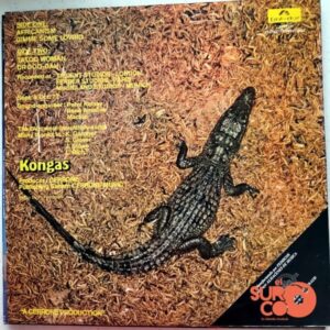 Disco de Vinilo Kongas - Africanism Vinyl Record