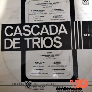 Disco de Vinilo Varios - Cascada De Discos Vinyl Record