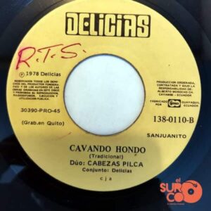 Disco de Vinilo Conjunto Las Delicias - El Transporte / Cavando Hondo Vinyl Record