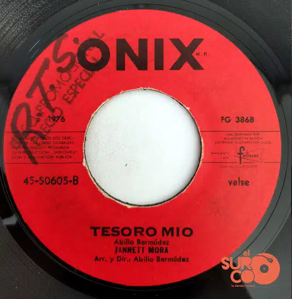Disco de Vinilo Jannett Mora - Mi Triste Soledad / Tesoro Mío Vinyl Record