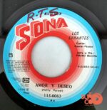 Disco de Vinilo Los Errantes - Invierno / Amor Y Deseo Vinyl Record