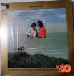 Disco de Vinilo John Williams - Concierto Del Sur Vinyl Record