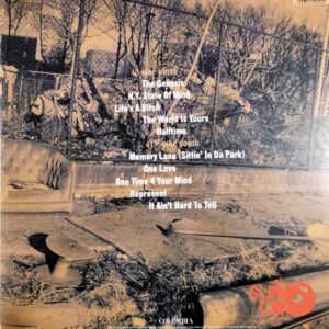 Disco de Vinilo Nas - Illmatic Vinyl Record