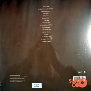 Disco de Vinilo Billie Eilish - Happier Than Ever (2 LP) Vinyl Record