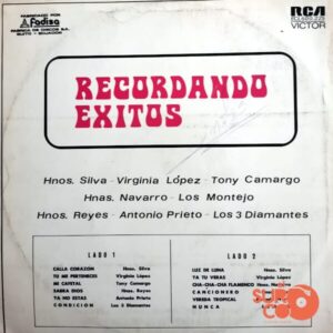 Disco de Vinilo Varios - Recordando Éxitos Vinyl Record