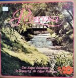 Disco de Vinilo Edgar Palacios - Princesa Vinyl Record