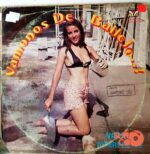 Disco de Vinilo Varios - Vámonos De Bailejo Vinyl Record