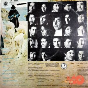 Disco de Vinilo Orquesta Universitaria De Instrumentos Típicos Latinoamericanos - Causarina Vinyl Record