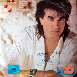 Disco de Vinilo Wilkins - Paraiso Perdido Vinyl Record