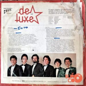 Disco de Vinilo Deluxe - Deluxe Vinyl Record