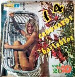 Disco de Vinilo Varios - 14 Cañonazos Bailables Vol.20 Vinyl Record