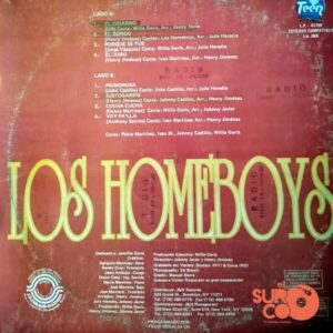 Disco de Vinilo Los Homeboys - Hip Hop Merengue Vinyl Record
