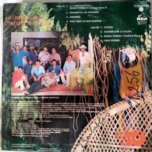 Disco de Vinilo Hansel Y Raul - Tropical Vinyl Record