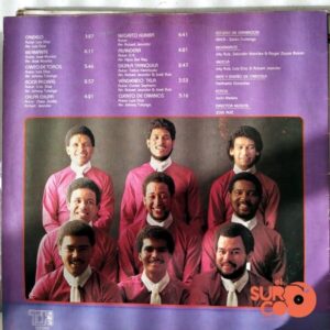 Disco de Vinilo Los Hijos   - Los Hijos Vinyl Record