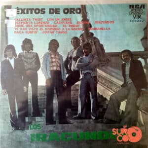 Los Iracundos - Éxitos De Oro Vinilo