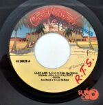Disco de Vinilo Cher - Take Me Home / My Song Too Far Gone Vinyl Record