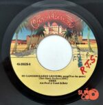 Disco de Vinilo Cher - Take Me Home / My Song Too Far Gone Vinyl Record