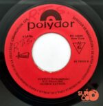 Disco de Vinilo Gloria Gaynor - I Will Survive / Substitute Vinyl Record