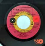 Disco de Vinilo America - You Can Do Magic / Even The Score Vinyl Record