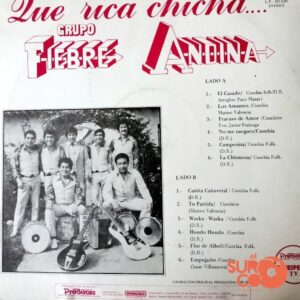 Disco de Vinilo Grupo Fiebre Andina - Que Rica Chicha Vinyl Record