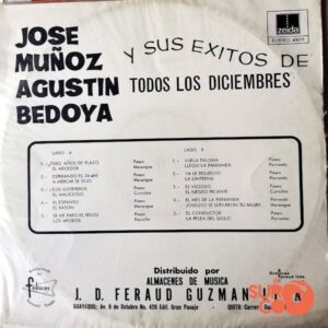 Disco de Vinilo José Muñoz - José Muñoz Y Sus Éxitos De Diciembre Vinyl Record