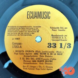 Disco de Vinilo Braulio Hito - El Triunfador / Cholito Cordillerano Vinyl Record