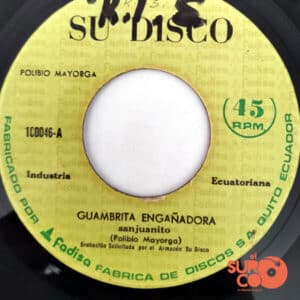 Polibio Mayorga - Guambrita Engañadora / Carnavalera Vinilo