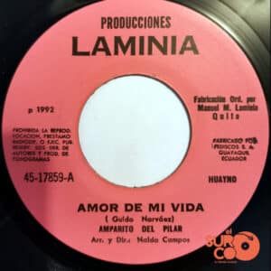 Amparito Del Pilar - Amor De Mi Vida / Despedida Vinilo