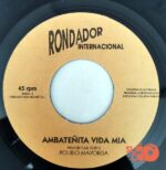 Disco de Vinilo Polibio Mayorga - Carnavalito De Flores / Ambateñita Vida Mia Vinyl Record