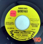 Disco de Vinilo Lolita Ramírez - Divorcio / Amor Silvestre Vinyl Record