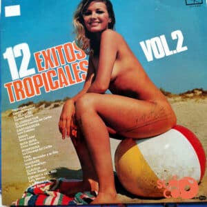 Varios - 12 Éxitos Tropicales Vol.2 Vinilo