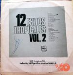 Disco de Vinilo Varios - 12 Éxitos Tropicales Vol.2 Vinyl Record
