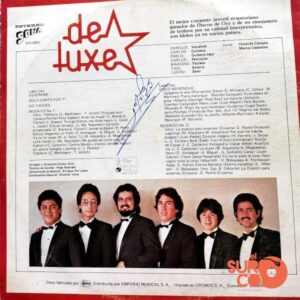 Disco de Vinilo Deluxe - Deluxe Vinyl Record